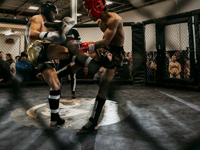 MMA Cards